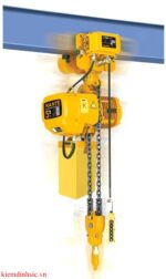 Kiểm định KTAT thiết bị nâng kiểu cầu